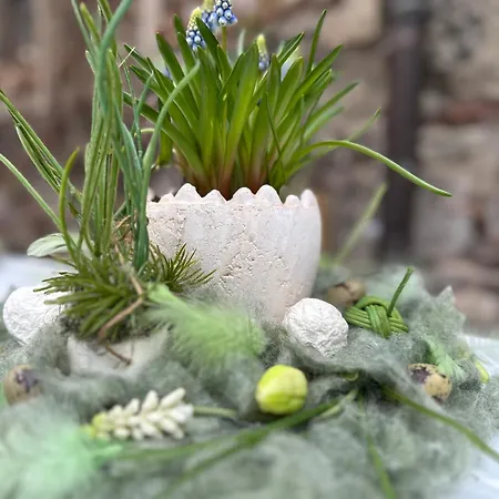 Kitchenroombed - City-lage I Nahe Hbf I Aufzug I Tiefgarage I Terrasse I Business - Travel - Family * Halle (Saale)