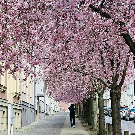 Kitchenroombed - City-lage I Nahe Hbf I Aufzug I Tiefgarage I Terrasse I Business - Travel - Family *