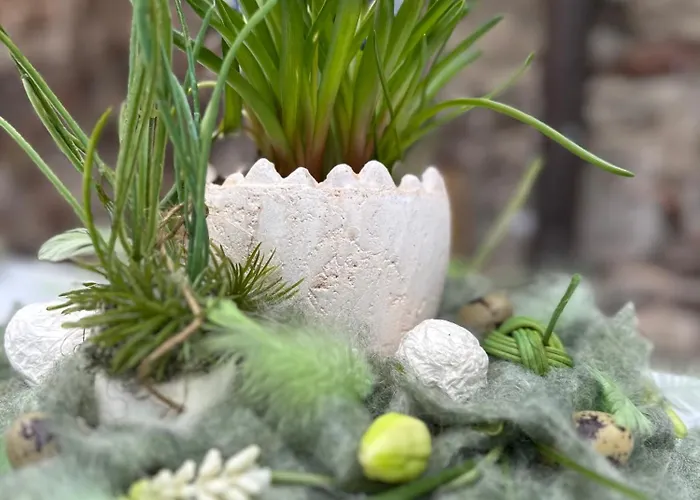 Kitchenroombed - City-lage I Nahe Hbf I Aufzug I Tiefgarage I Terrasse I Business - Travel - Family * Halle (Saale)