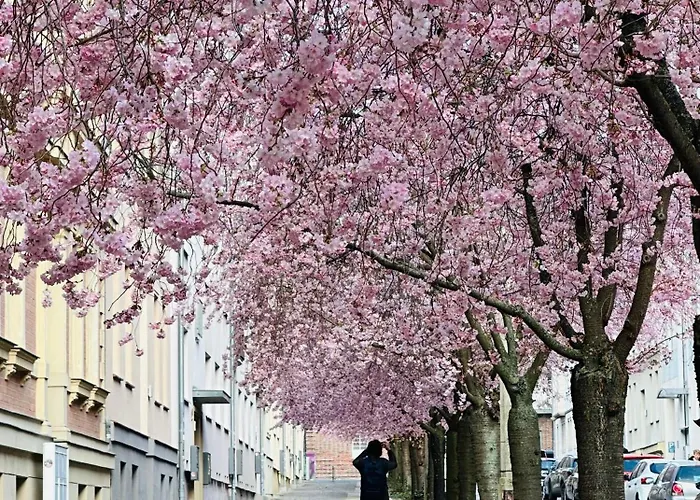 Kitchenroombed - City-lage I Nahe Hbf I Aufzug I Tiefgarage I Terrasse I Business - Travel - Family *
